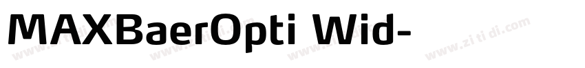MAXBaerOpti Wid字体转换